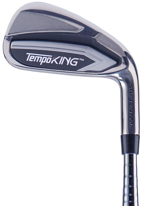 TempoKing Swing Trainer (Professional)